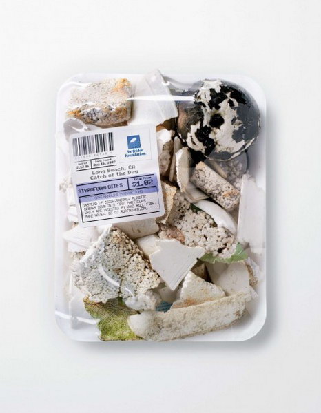 surfrider-seafood_posters-5_thumb