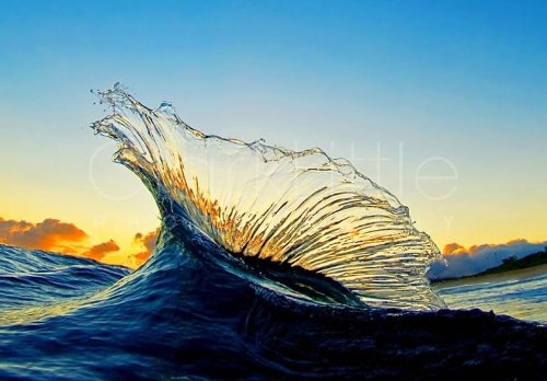 Clark Little Photography - Image Gallery _ Online Store