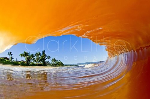 Clark Little Photography - Image Gallery _ Online Store