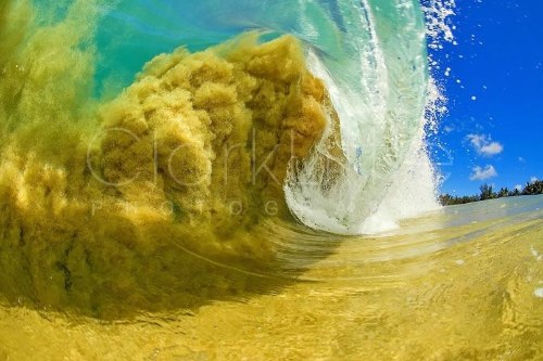 Clark Little Photography - Image Gallery _ Online Store