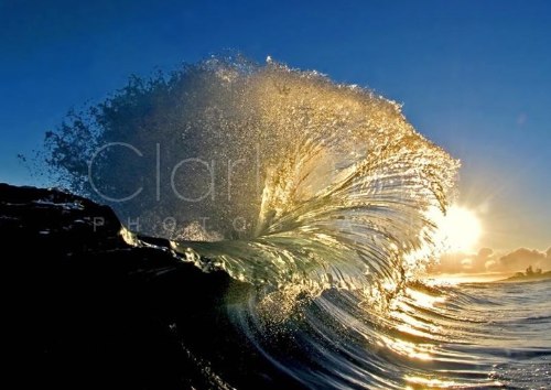 Clark Little Photography - Image Gallery _ Online Store