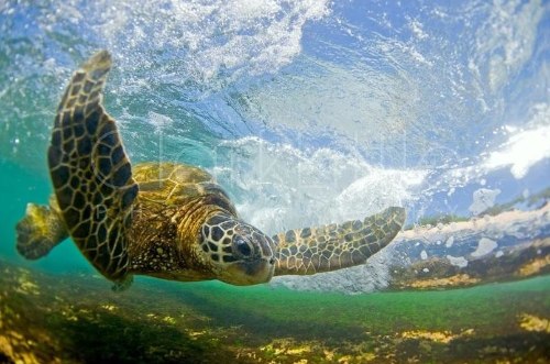 Clark Little Photography - Image Gallery _ Online Store