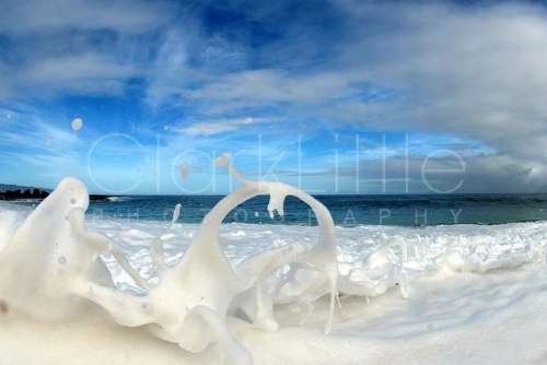 Clark Little Photography - Image Gallery _ Online Store