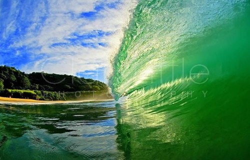 Clark Little Photography - Image Gallery _ Online Store