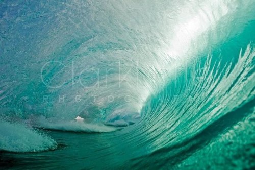 Clark Little Photography - Image Gallery _ Online Store