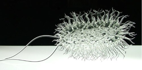 Microbiologia de Vidro