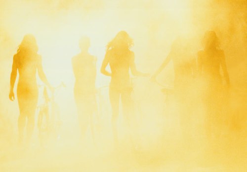 ryanmcginley.com