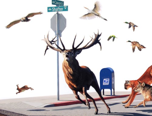 josh keyes