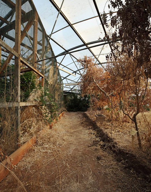 A Decomposição da Biosphere 2