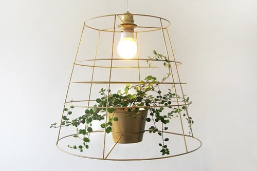 Meirav Barzilay é uma designer de Tel Aviv que criou um novo produto chamado Lâmpada Fotossíntese, que é feita com um grid de metal onde uma planta por ser trançada. Dessa forma você consegue inserir mais luz e ainda um pouco de natureza para a sua sala de estar. Além de que, devido as formas irregulares das folhas, você ainda vai conseguir uma série de padrões de luz e sombra únicos.