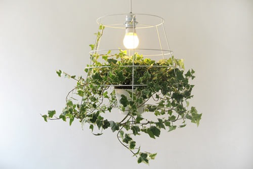 Meirav Barzilay é uma designer de Tel Aviv que criou um novo produto chamado Lâmpada Fotossíntese, que é feita com um grid de metal onde uma planta por ser trançada. Dessa forma você consegue inserir mais luz e ainda um pouco de natureza para a sua sala de estar. Além de que, devido as formas irregulares das folhas, você ainda vai conseguir uma série de padrões de luz e sombra únicos.