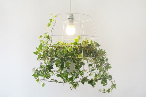 Meirav Barzilay é uma designer de Tel Aviv que criou um novo produto chamado Lâmpada Fotossíntese, que é feita com um grid de metal onde uma planta por ser trançada. Dessa forma você consegue inserir mais luz e ainda um pouco de natureza para a sua sala de estar. Além de que, devido as formas irregulares das folhas, você ainda vai conseguir uma série de padrões de luz e sombra únicos.
