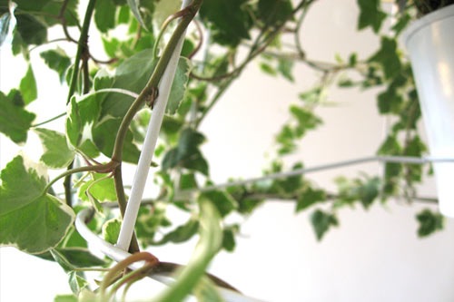 Meirav Barzilay é uma designer de Tel Aviv que criou um novo produto chamado Lâmpada Fotossíntese, que é feita com um grid de metal onde uma planta por ser trançada. Dessa forma você consegue inserir mais luz e ainda um pouco de natureza para a sua sala de estar. Além de que, devido as formas irregulares das folhas, você ainda vai conseguir uma série de padrões de luz e sombra únicos.