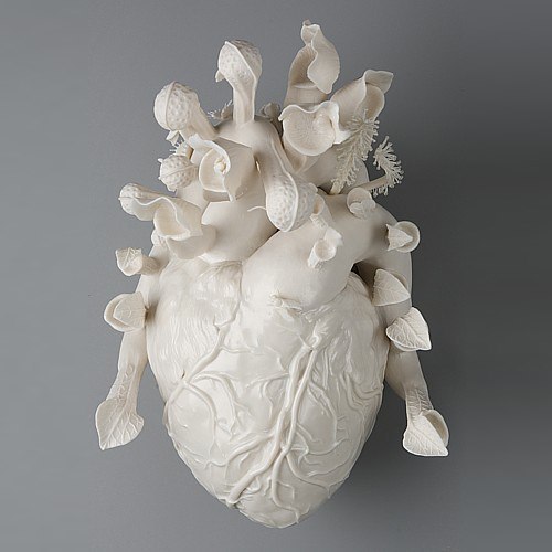 Kate MacDowell usa de porcelana para criar obras de arte inspiradas pela natureza. Seus trabalhos são esculpidos com realismo e com uma meticulosidade sem limites. Ela transforma cada objeto manualmente, pena por pena, folha por folha. E, dessa forma, ela acaba se envolvendo intimamente com cada uma de suas esculturas.