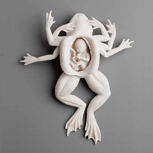 Kate MacDowell usa de porcelana para criar obras de arte inspiradas pela natureza. Seus trabalhos são esculpidos com realismo e com uma meticulosidade sem limites. Ela transforma cada objeto manualmente, pena por pena, folha por folha. E, dessa forma, ela acaba se envolvendo intimamente com cada uma de suas esculturas.