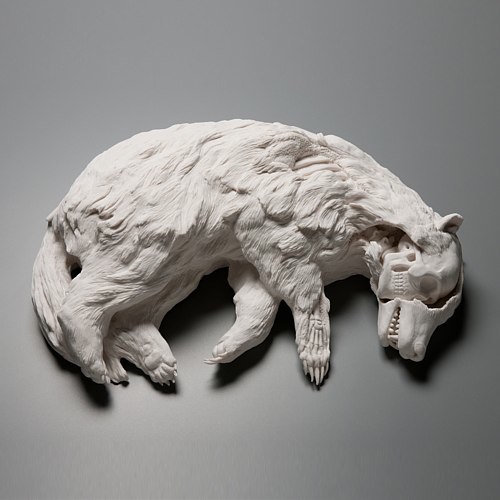 Kate MacDowell usa de porcelana para criar obras de arte inspiradas pela natureza. Seus trabalhos são esculpidos com realismo e com uma meticulosidade sem limites. Ela transforma cada objeto manualmente, pena por pena, folha por folha. E, dessa forma, ela acaba se envolvendo intimamente com cada uma de suas esculturas.