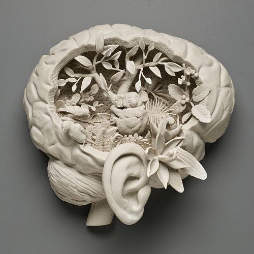 Kate MacDowell usa de porcelana para criar obras de arte inspiradas pela natureza. Seus trabalhos são esculpidos com realismo e com uma meticulosidade sem limites. Ela transforma cada objeto manualmente, pena por pena, folha por folha. E, dessa forma, ela acaba se envolvendo intimamente com cada uma de suas esculturas.