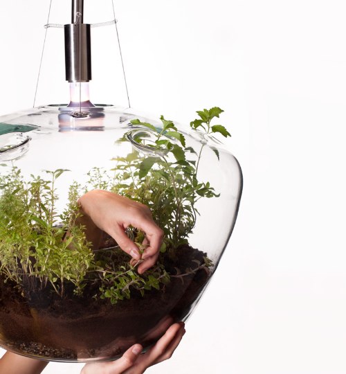 Glasshouse, da designer tcheca Krstyna Pojerova, é uma estufa miniatura que também funciona como abajour. Ela criou isso pensando em como criar suas ervas e plantas numa cozinha urbana.