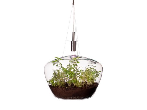 Glasshouse, da designer tcheca Krstyna Pojerova, é uma estufa miniatura que também funciona como abajour. Ela criou isso pensando em como criar suas ervas e plantas numa cozinha urbana.