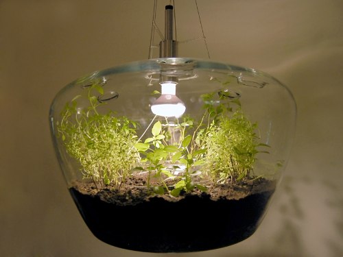 Glasshouse, da designer tcheca Krstyna Pojerova, é uma estufa miniatura que também funciona como abajour. Ela criou isso pensando em como criar suas ervas e plantas numa cozinha urbana.