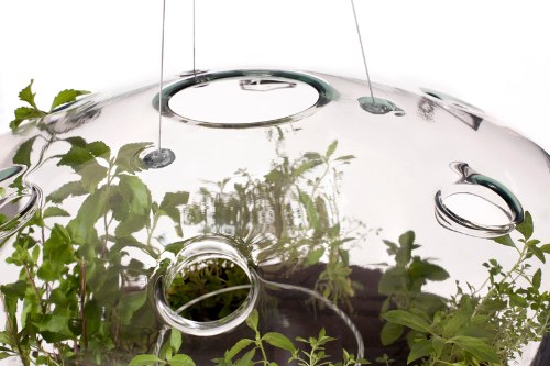 Glasshouse, da designer tcheca Krstyna Pojerova, é uma estufa miniatura que também funciona como abajour. Ela criou isso pensando em como criar suas ervas e plantas numa cozinha urbana.