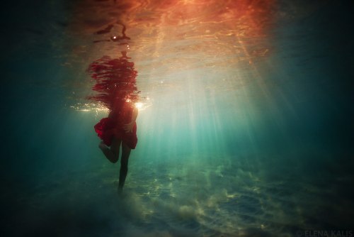 Para Elena Kalis, a fotografia sub aquática surgiu quase que naturalmente. Afinal, apesar de ser russa, ela mora em uma pequena ilhas nas Bahamas, dessa forma, a água sempre esteve muito perto do seu dia a dia. Foi assim que ela resolveu misturar mergulho, moda e arte e criar uma forma de fotografia toda especial para ela.