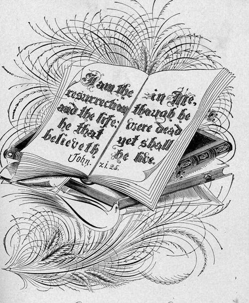 Se você é fã de caligrafia, já sei que você vai amar essa compilação de livros raros que vão de 1800 até o início dos anos 1900. Tudo compilado e liberado para download pelo pessoal da International Association of Master Penmen and Teachers of Handwriting.