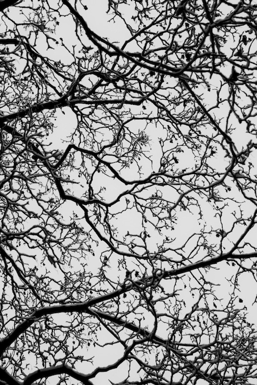 A study of the silence's aesthetic in real life