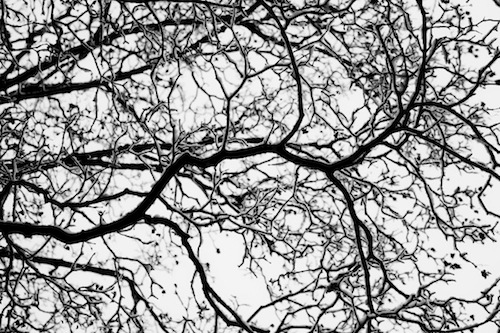 A study of the silence's aesthetic in real life