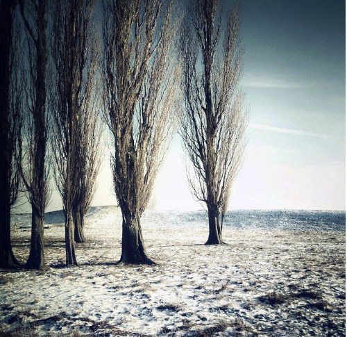 Claire Droppert_06