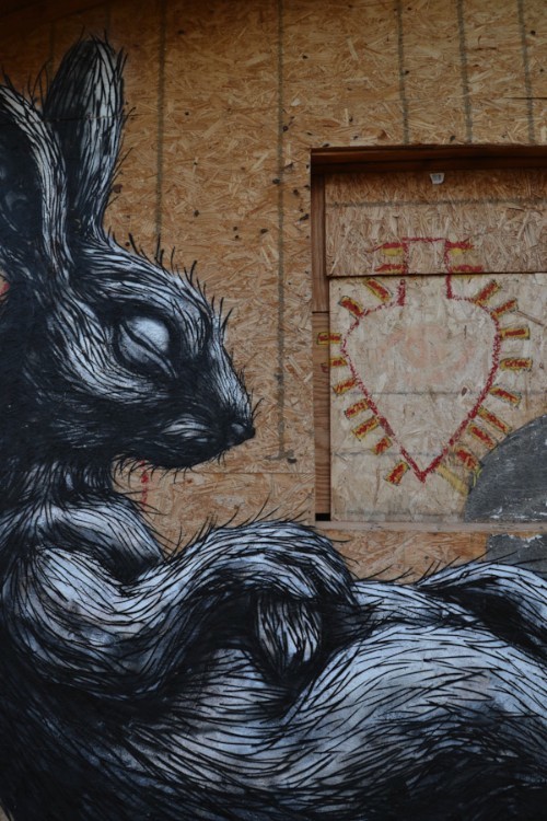 ROA_02