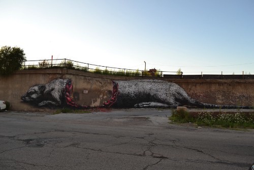 ROA_03