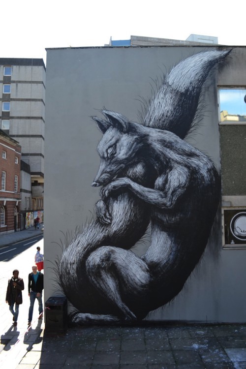 ROA_05