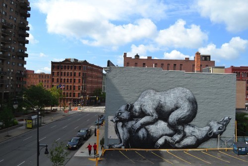 ROA_08