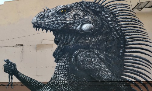 ROA_09