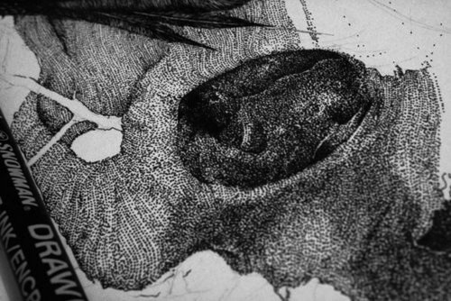 adiasa pollen_02