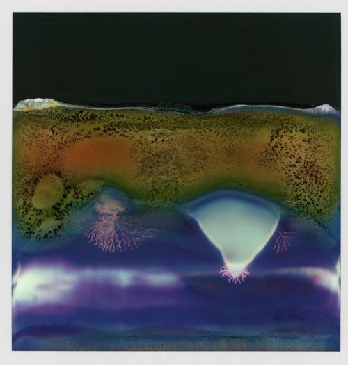 RuinedPolaroids_WilliamMiller_01