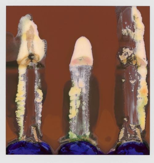 RuinedPolaroids_WilliamMiller_05