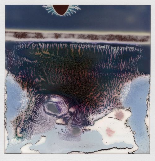 RuinedPolaroids_WilliamMiller_09