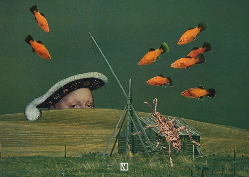 @analogisheavy // Analog = Heavy // collage wallpapers