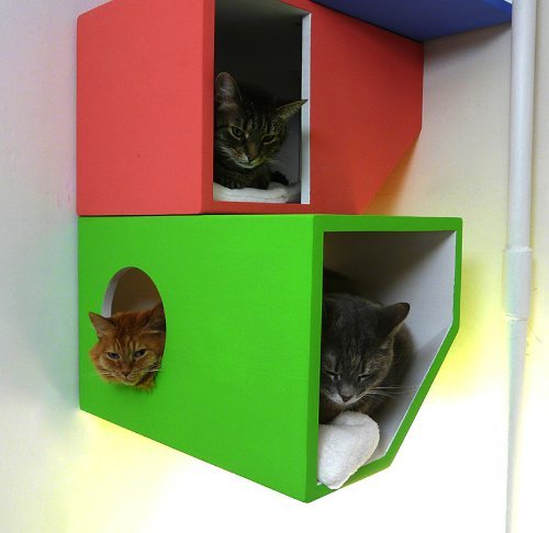 catissa: a four storey house for cats 