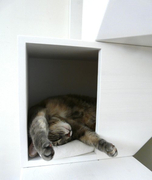 catissa: a four storey house for cats 