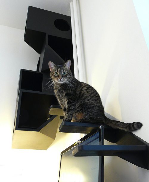 catissa: a four storey house for cats 