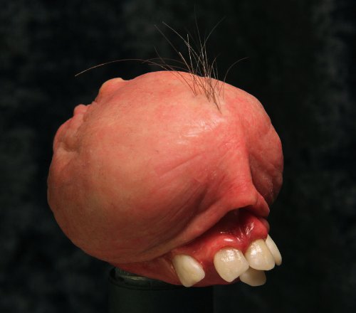 JJengabean mistura partes do corpo para criar esculturas estranhas e que, muita gente, iria chamar de nojentas. Entre todas as imagens que vi dele, minha favorita é a língua com dentes abaixo. Consigo imaginar monstros de filmes de terror aliens tendo algo assim e espero que alguém já tenha feito isso por ai.
