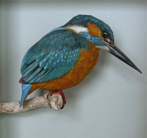 Johan Scherft_04