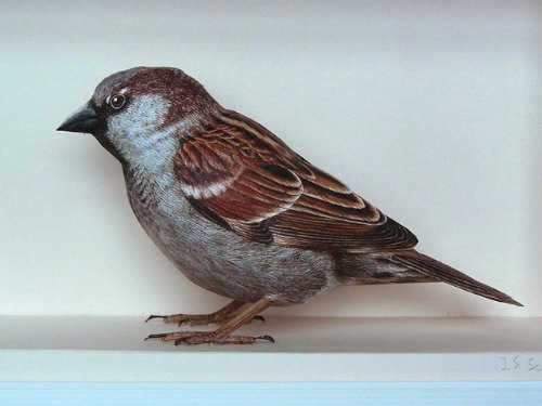 Johan Scherft_06