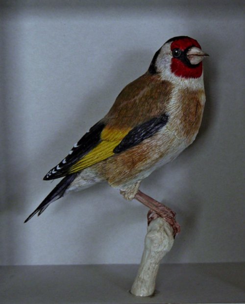 Johan Scherft_08