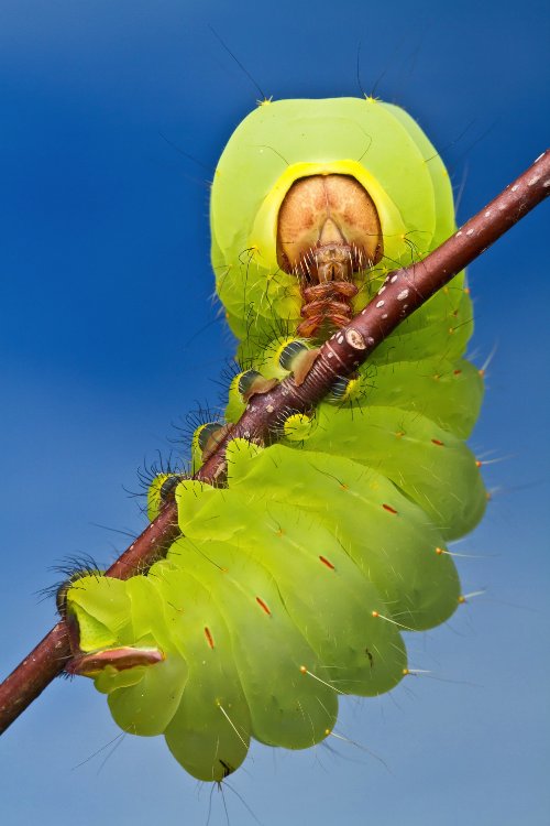 SmithsonianMagazine2012PhotographyContest_01