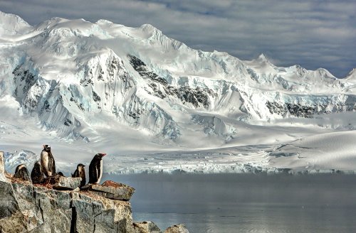 SmithsonianMagazine2012PhotographyContest_04
