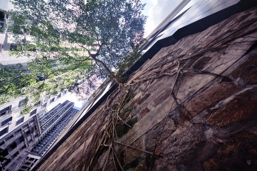 vertical-horizon_02